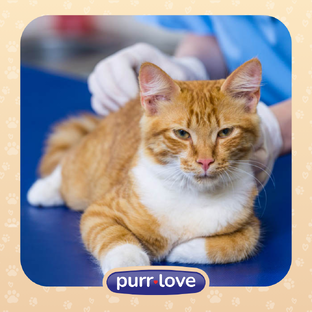 Всё о здоровье