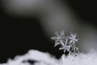 'Hoarfrost' Кинопроизводство