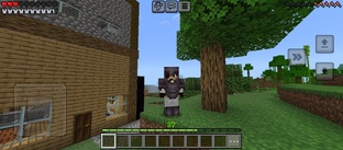 выживание с боссами 1-10