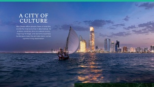ОАЭ UAE  Dubai