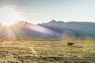 Вокруг Хубсугула на Иван-Круизере. Монголия сентябрь 2017.