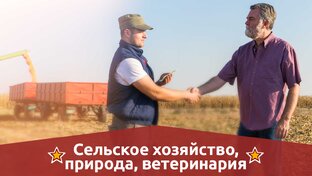 Сельское хозяйство