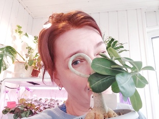 Интересности и полезности