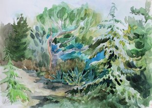 Символика растений