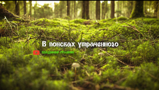 В поисках утраченного.