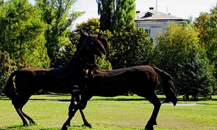 Случай из жизни.