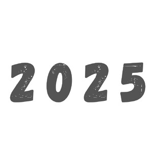 2025 год