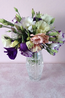 Эустома все от посева до букета.