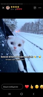 Sageldi@@