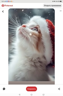 МОЯ КНИГА ПАМЯТИ