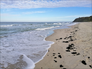 Янтарный край