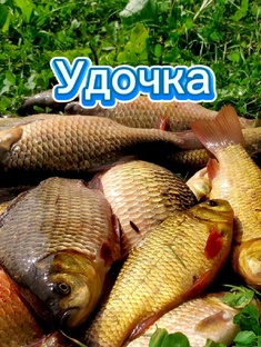 Удочка