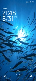 Подводный мир