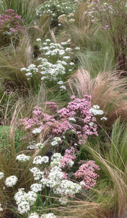 Расчеты ба цзы на февраль 