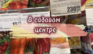 Обзоры