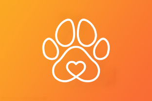 Жизнь и новости приюта