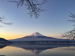 Ох уж эта Япония!