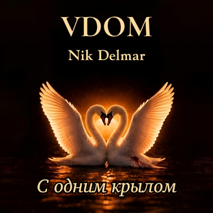 Новый трек - VDOM - С одним крылом 06.03