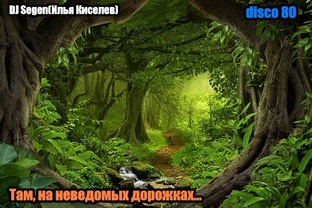DJ Segen(Илья Киселев) Там, на неведомых дорожках