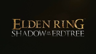 Фантомы.Мини-боссы.Боссы. из дополнения  Shadow of the Erdtree игры ELDEN RING.