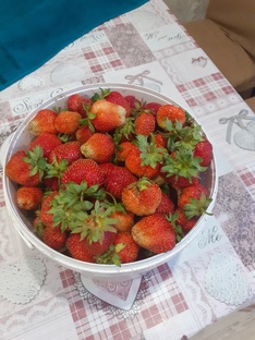 Невероятные приключения врача.