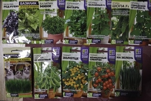 Зимний огород. Семена Алтая "Урожай на окне"