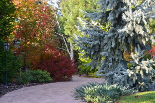 Шмель / Реализованные проекты