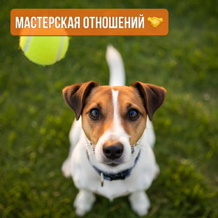 Мастерская Отношений DogSelf: Как построить доверие и воспитать собаку