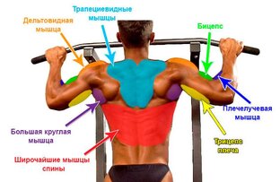 Подтягивание онлайн