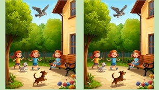 Логические задачи, поиск отличий, загадки