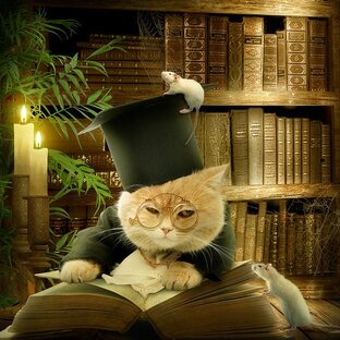 Котики ЮВАО  Кузьминки!
