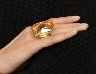 Swarovski 