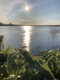 Путешествия