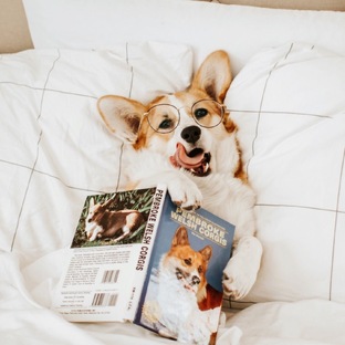 Частная жизнь наших ушастых выпускников