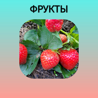 Фрукты