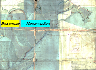 о д.Николаевской (Беляниха) Лянинской волости
