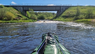Сплав река Плюсса 210км. Май 2023г.