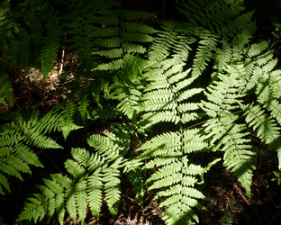 Простая жизнь «в самый раз»