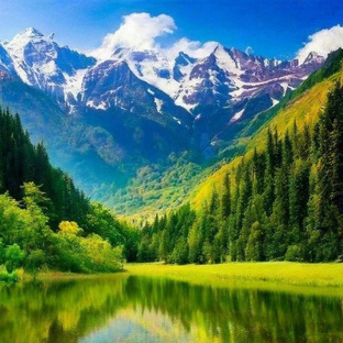 лучшие леса