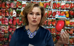 Подбор семян овощей