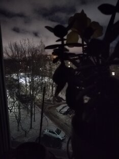 Непростая Надя