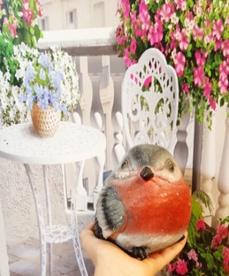 Путешествия снегирька