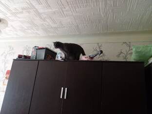 Чем бы дитя не тешилось