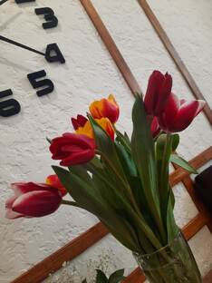 Мои стихи, Мои мысли на бумаге под пером.