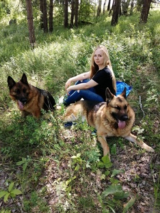 О нас (школа, новости, консультации).