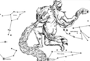 СОЗВЕЗДИЯ КИТА И ВОДОЛЕЯ