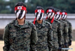 Камуфляж армий мира