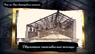 Выращивание фруктов и овощей в России в 18 веке