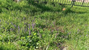 рандом какойт🤯