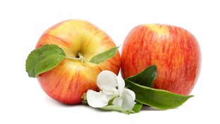                                 ЯБЛОНИ и РАНЕТКИ